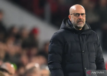 Pelatih PSV Eindhoven Peter Bosz