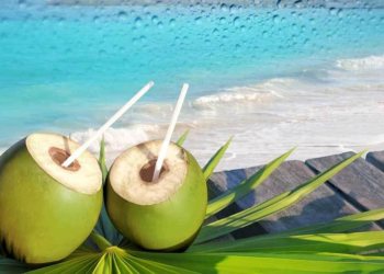 Air Kelapa. (Benefitsofaloeverajuice.net)