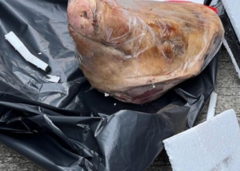 Paket teror berisi kepala babi ditujukan ke Kantor Tempo (Dok Tempo)