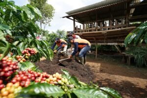 Komitmen Keberlanjutan Nestlé Indonesia untuk Masa Depan yang Lebih Hijau dan Sehat