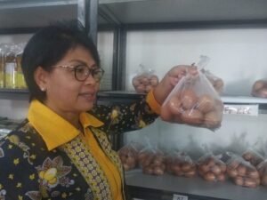 Meningkatnya Permintaan Masyarakat Membuat Kue Berdampak Harga Telur Naik