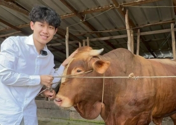 Willie Salim Terancam Diboikot Seumur Hidup dari Palembang jika Tak Penuhi Tuntutan Kesultanan.Dok