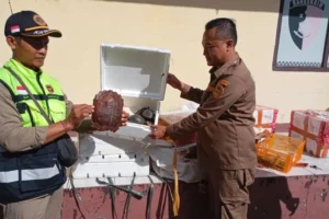 Karantina Lampung Gagalkan Penyelundupan Satwa Liar
