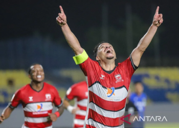 Lulinha madura united