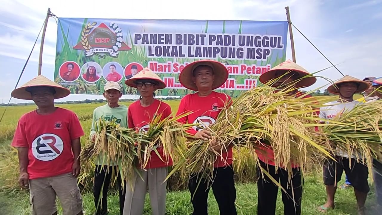 Edward Rasyid Bagikan Bibit Padi MSP Gratis ke Petani Lampung Tengah