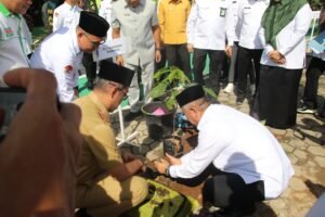 Penanaman 10.250 Pohon Matoa Ditanam Serentak Seluruh Lampung
