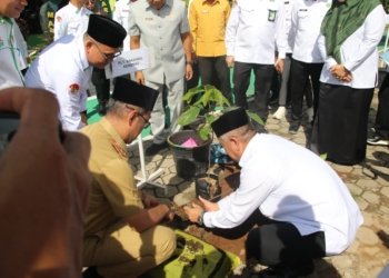 Sebanyak 10.250 pohon matoa ditanam serentak di seluruh wilayah Provinsi Lampung, Selasa (22/4/2025). Dok/Humas Kemenag Lampung.
