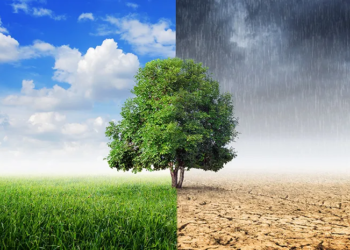 ilustrasi musim pancaroba