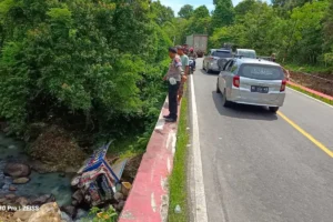 Kecelakaan Tragis di Pesisir Barat Mobil Pikap Masuk Jurang, Tiga Tewas