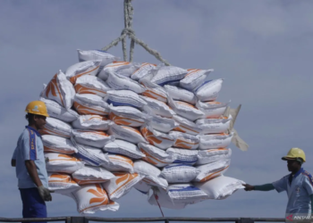 Perum Bulog memastikan persediaan beras di Sumatra dalam kondisi aman dan mencukupi untuk memenuhi kebutuhan masyarakat terdampak bencana alam di wilayah tersebut.Dok/Lampost.co