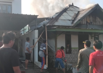 Satu rumah warga hangus terbakar. Musibah tersebut terjadi pada Pasar Ulu, Kelurahan Pasar Kota Kecamatan Pesisir Tengah Kabupaten Pesisir Barat, Rabu, 7 Mei 2025. Dok Satpol PP dan Damkar Pesisir Barat.