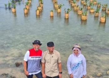 Gubernur Lampung, Rahmat Mirzani Djausal bersama PT. Pertamina Hulu Energi Offshore Southeast Sumatra (PHE OSES) melakukan penanaman mangrove di Pesisir Lampung. Dok