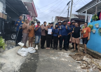 Sepasang Ular Python Sepanjang 4 Meter Gegerkan Warga Perumahan Wismamas Kemiling