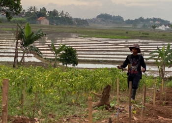 Perjuangan Tak Kenal Lelah