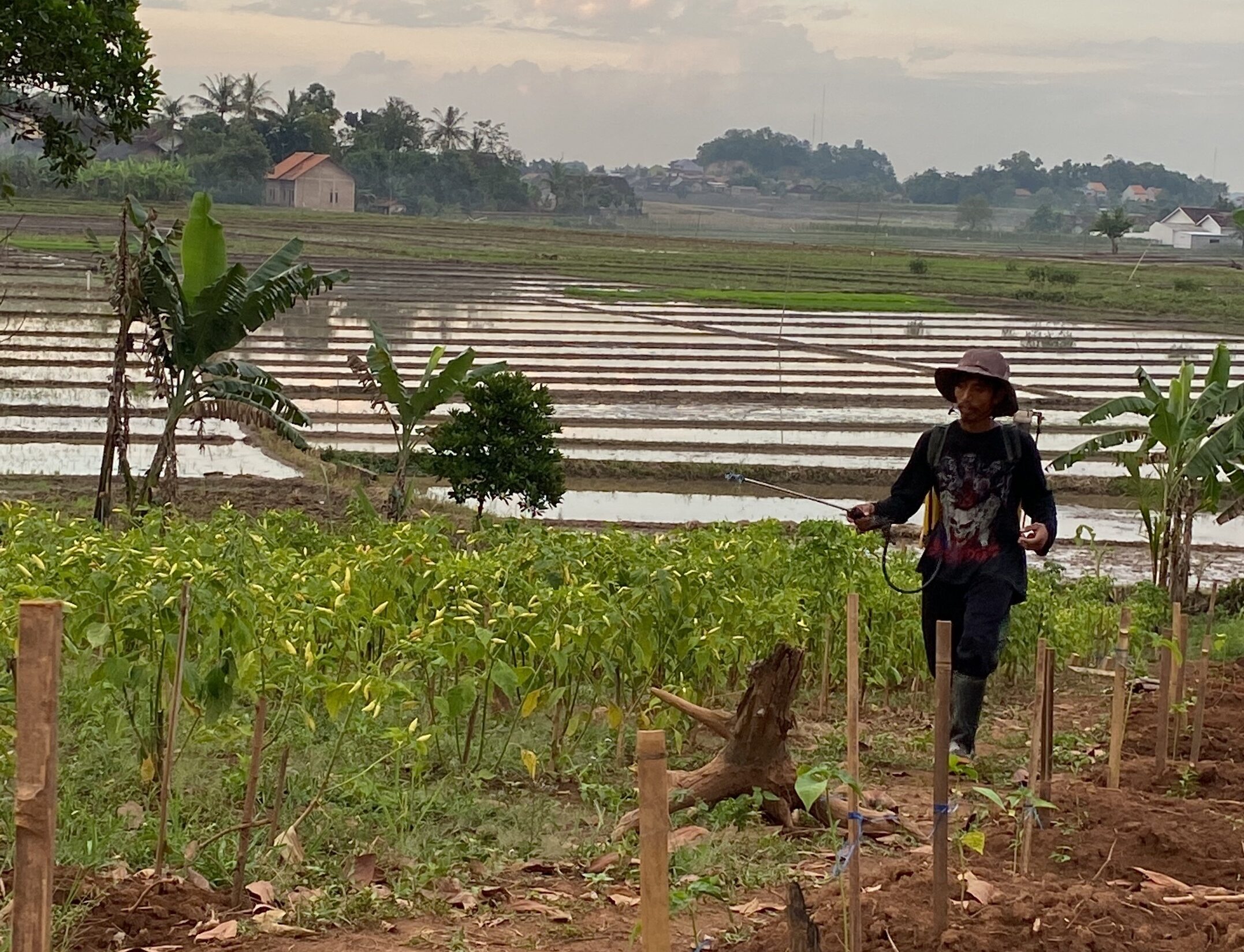 Perjuangan Tak Kenal Lelah
