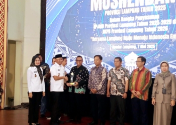 PLN Raih CSR Award