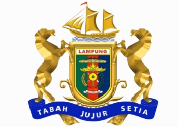 Logo Kadin Lampung. Dok Google