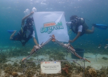 PT. Sekar Laut Tbk (FINNA) bersama Klub Selam Anemon Universitas Lampung melakukan pelestarian lingkungan laut menanam 300 bibit terumbu karang di perairan Pulau Pahawang, Lampung, Sabtu, 24 Mei 20225. Dok Istimewa