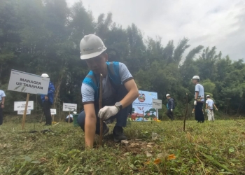 Peringati International Biodiversity Day PLN Nusantara Power Unit Pembangkitan (UP) Tarahan melaksanakan kegiatan penanaman pohon