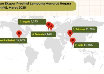 Grafik negara utama tujuan ekspor Lampung Maret 2025. Dok/BPS