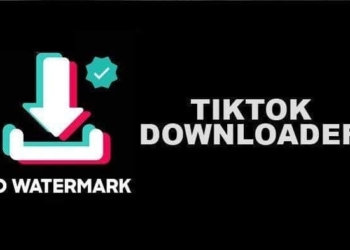 TikTok Downloader 