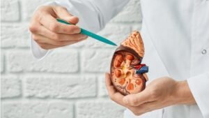 7 Cara Ampuh Menjaga Kesehatan Ginjal Menurut Dokter Spesialis