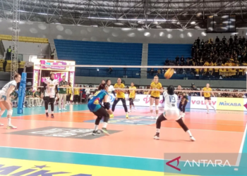 petrokimia vs jakarta electric PLN