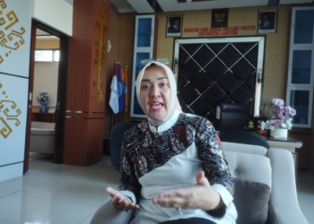 Dekan FISIP Unila paparkan soal kerja sama dengan P@MI