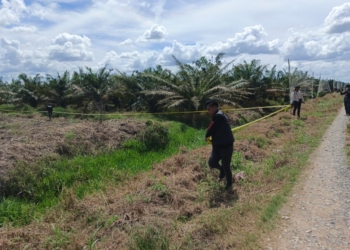 Garis Polisi dipasang di lokasi lahan HGU PT SIP yang diduduki perambah. (Foto: Lampost.co/Ridwan Anas)