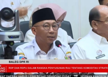 Gubernur Lampung Rahmat Mirzani Djausal saat RDP dengan Baleg DPR RI di Senayan, Gedung Nusantara, Jakarta, Rabu, 25 Juni 2025. Tangkapan Layar YouTube Parlemen