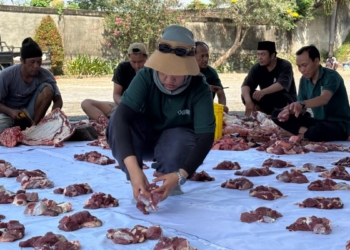 Sebanyak tiga ekor sapi dan tiga ekor kambing tersembelih usai salat Iduladha