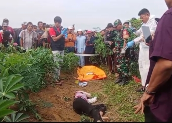 Penemuan jenazah di kebun singkong Tuba
