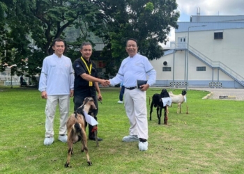 PT. Nestle Indonesia menyerahkan sebanyak 13 ekor kambing sebagai hewan kurban di lapangan PT Nestle Indonesia Pabrik Panjang, Kamis, 5 Juni 2025.
