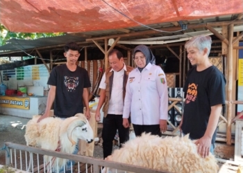Pemprov Lampung bersama Pemkot Bandar Lampung lakukan pengawasan hewan kurban di Omah Embe Sultan Agung, Rabu, 4 Juni 2025. (Lampost/Atika)