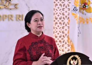Ketua DPR Puan Maharani.(Dok. Antara)