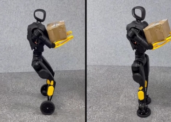 AgiBot X2-N, terbaru dari China