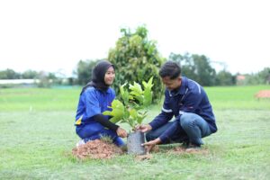 Hakaaston penanaman pohon