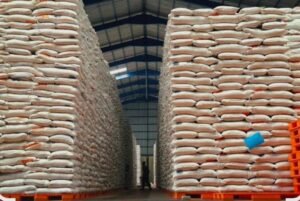 Bulog Perluas Gudang, Perkuat Ketahanan Pangan Nasional
