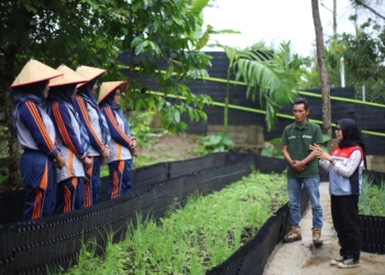 PGE Area Ulubelu Perkuat Ketahanan Pangan dan Pemberdayaan Perempuan Melalui Program Hortikultura