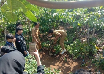 BPBD Tanggamus menggandeng Fakultas Teknik Geofisika Universitas Lampung (Unila) tanam pohon di Pekon Air Abang, Kecamatan Ulu Belu, Kabupaten Tanggamus, Senin, 22 Juli 2025. (Dok BPBD)