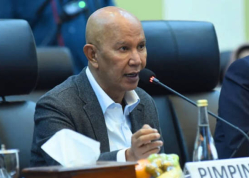 Ketua DPP PDIP Said Abdullah.(Dok. Antara)