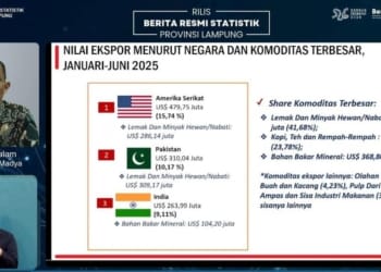 Statistisi Ahli Madya BPS Lampung, M. Ilham Salam melakukan pemaparan. Dok Tangkapan Layar Youtube BPS Lampung