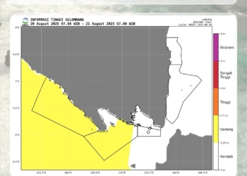 Badan Meteorologi, Klimatologi, dan Geofisika (BMKG) menyampaikan peringatan dini terkait potensi gelombang tinggi wilayah perairan Provinsi Lampung. Dok BMKG