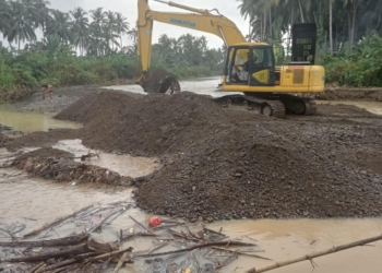 Pasca banjir dan longsor melanda 7 kecamatan di Tanggamus, BPBD kerahkan alat berat, distribusi logistik, dan fokus pemulihan tanpa adanya korban jiwa. (Dok BPBD)