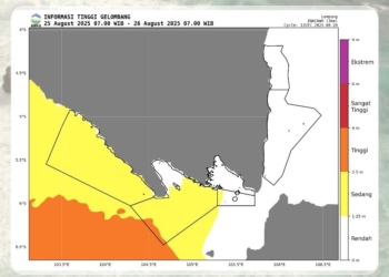 Badan Meteorologi Klimatologi dan Geofisika (BMKG) menyampaikan informasi gelombang tinggi Perairan Lampung. Dok BMKG