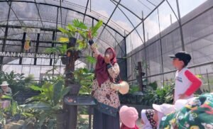 Pelestarian Kantong Semar Kebun Raya Itera Raih Dukungan Internasional