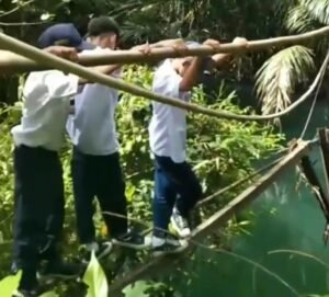Bupati Tanggamus Siap Perbaiki Jembatan Gantung Tampang Muda