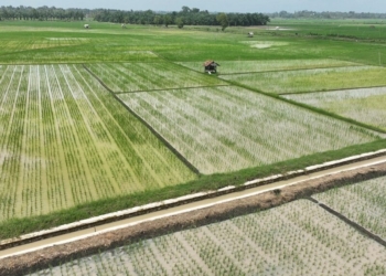 Pertanian di Desa Trimomukti, Kecamatan Candipuro, Lampung Selatan. (DOK. DISKOMINFO LAMSEL)