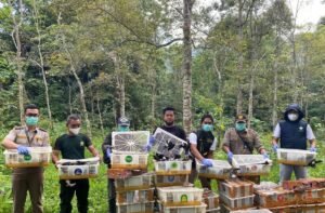 BKSDA Lepasliarkan 1.300 Burung Sitaan