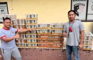 Polisi Gagalkan Penyelundupan 1.300 Burung